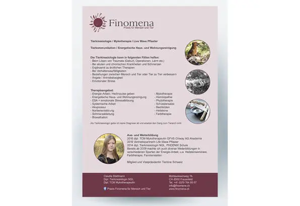 Flyer A5 für Finomena